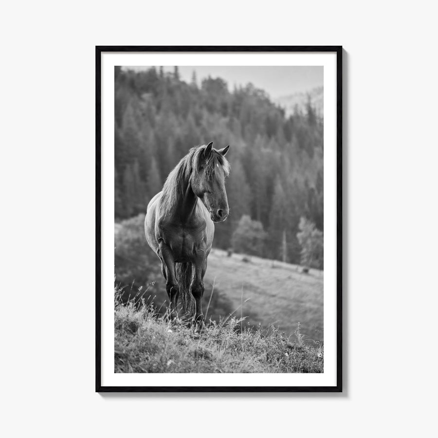 Horse no. 1 black & white photo poster – vertical wall art, unframed print shown in interior mockup