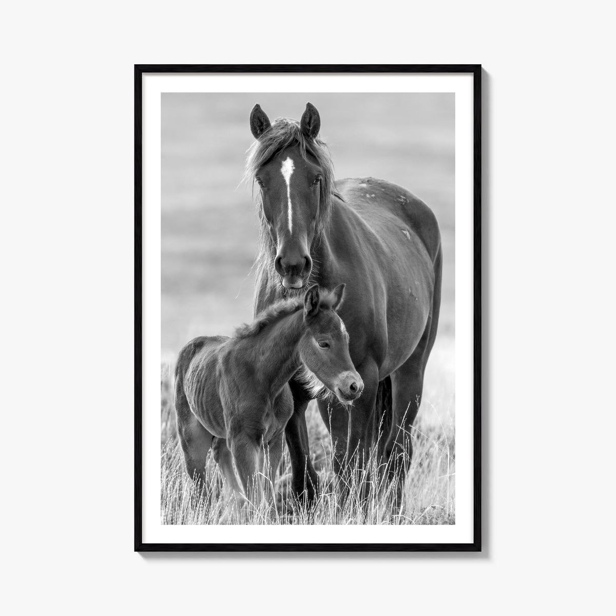 Horse no. 2 black & white photo poster – vertical wall art, unframed print shown in interior mockup