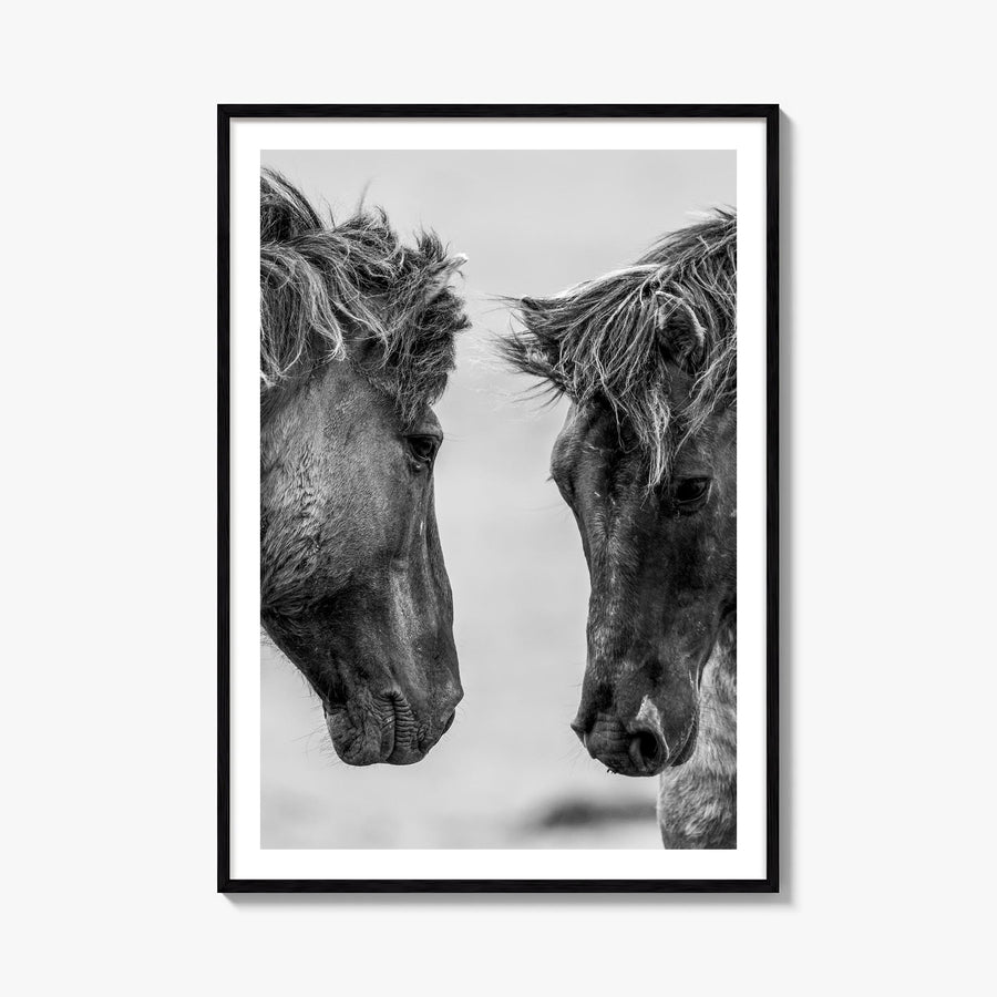 Horse no. 3 black & white photo poster – vertical wall art, unframed print shown in interior mockup