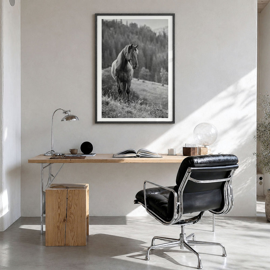 Horse Photo No 1 Poster in a black wood frame, hanging in a bright home office, white border