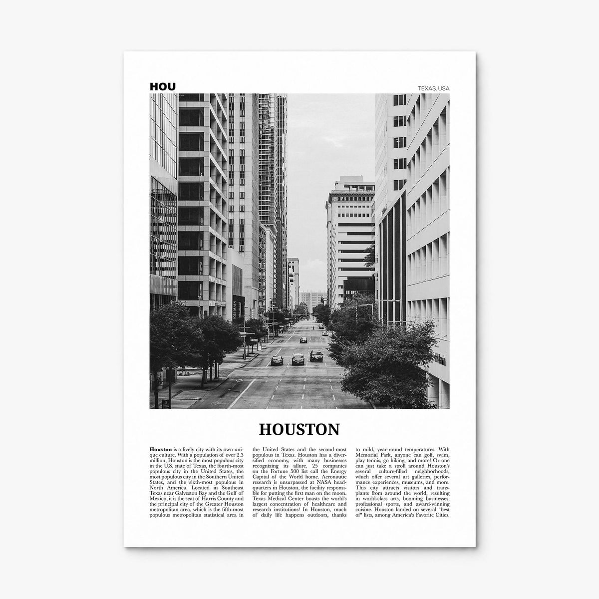 Houston Newspaper No 3 Poster, print only (unframed)