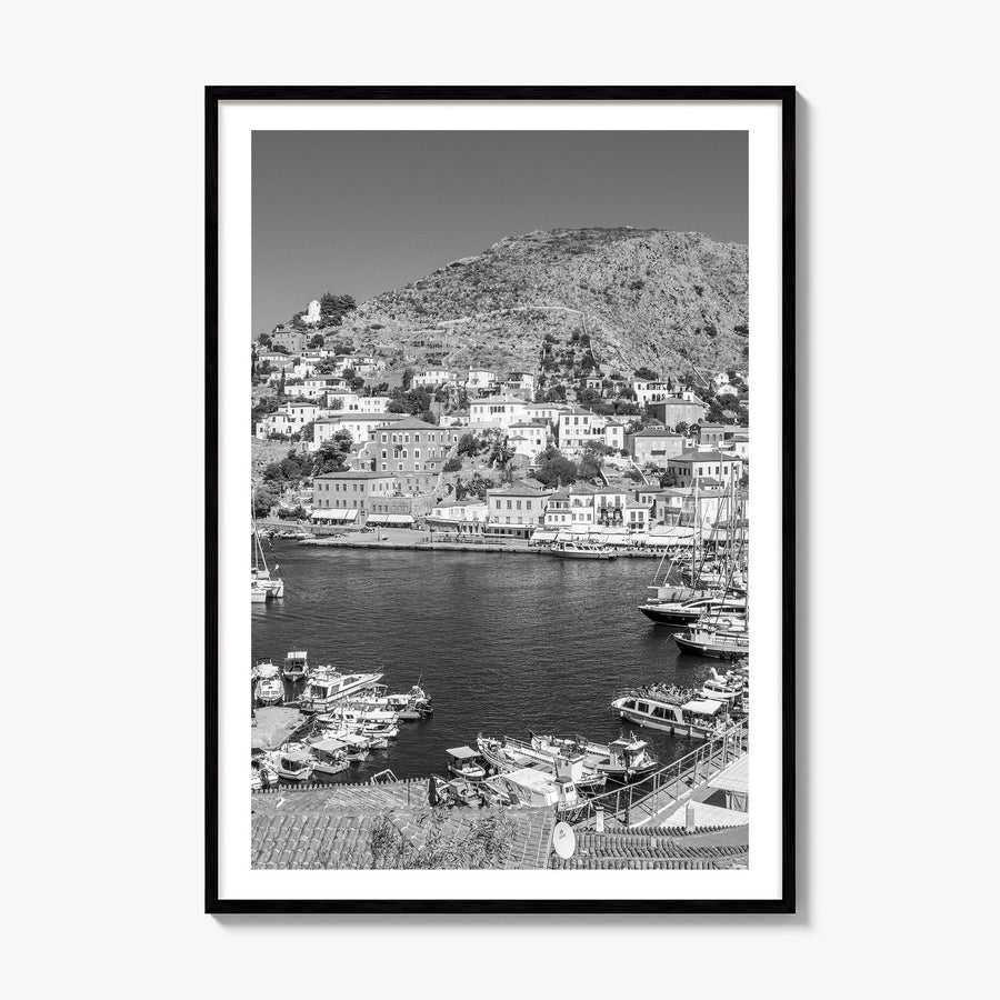 Hydra Photo Poster, framed poster mockup, white border