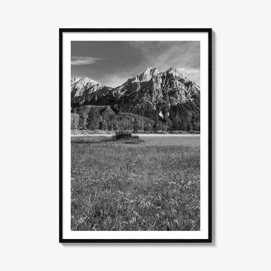 Idaho black & white photo poster of United States – vertical wall art, unframed print shown in interior mockup