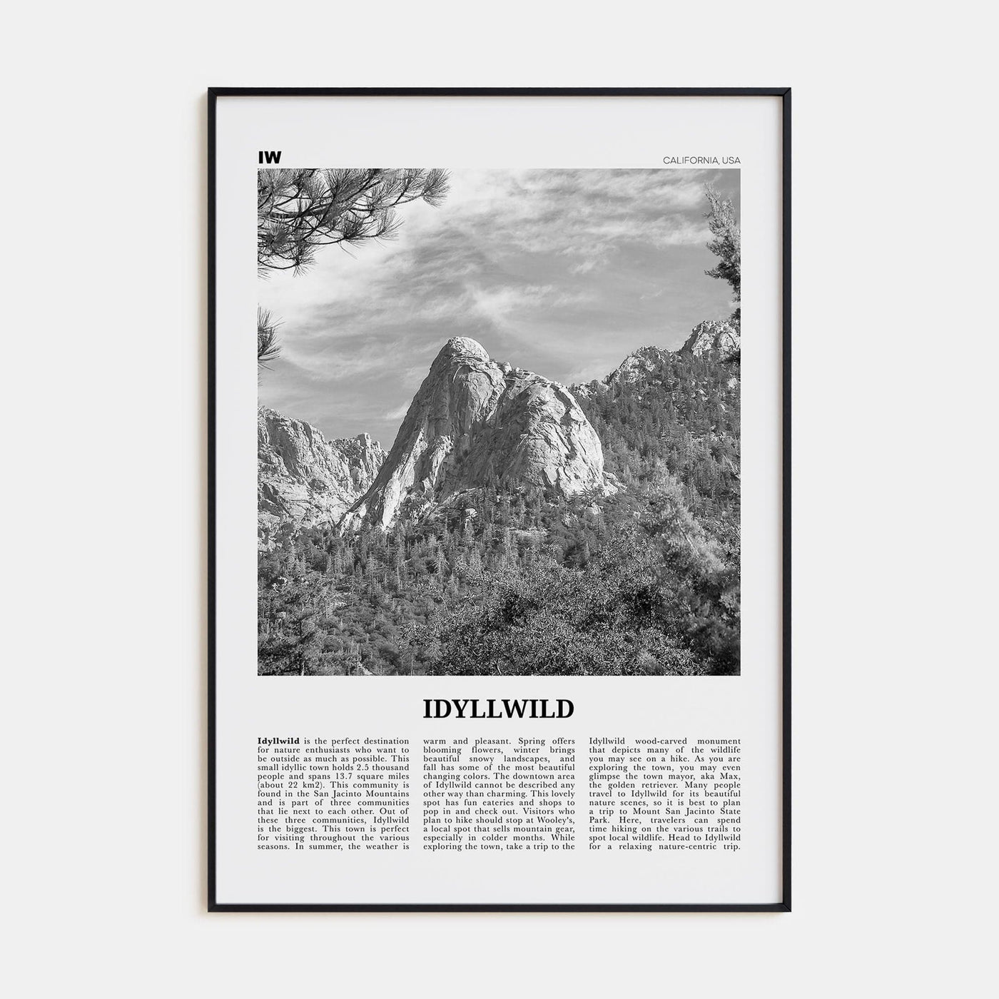 Idyllwild No 2 Poster None / 8x12 in Nbourhood Travel B&W Poster