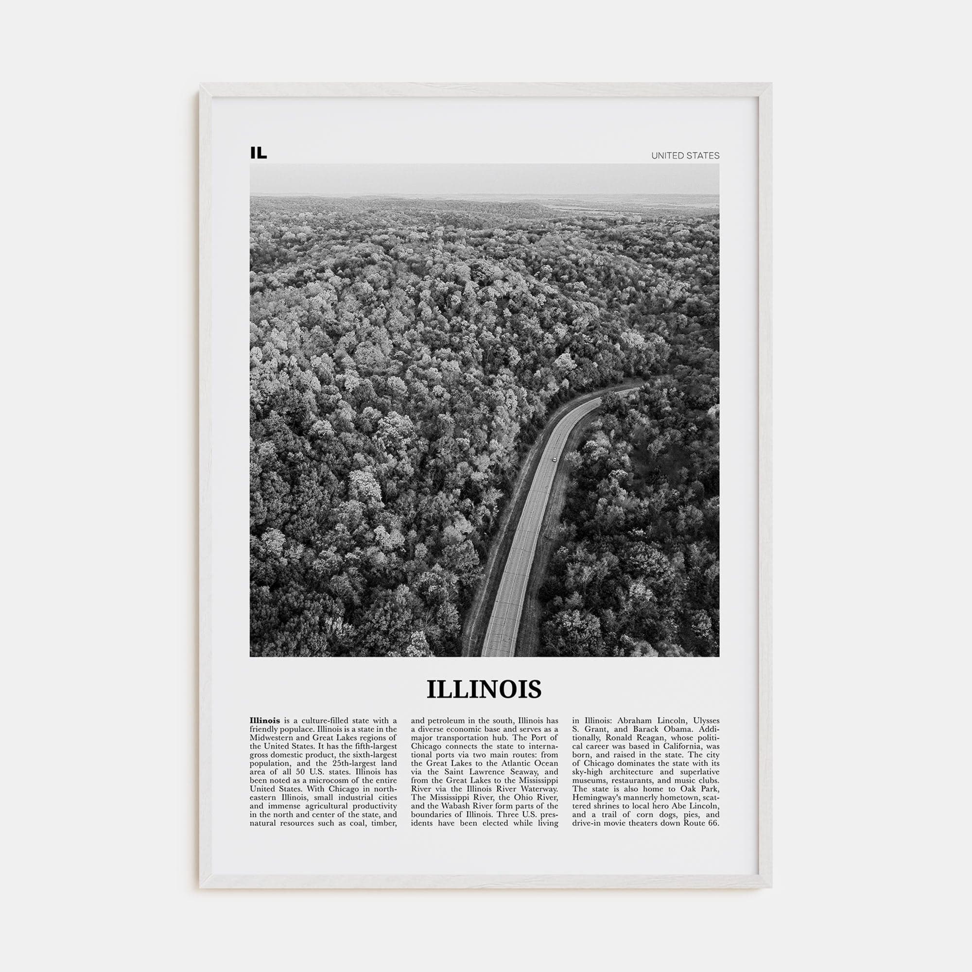 Illinois No 2 Poster White Wood / 8x12 in Nbourhood Travel B&W Poster