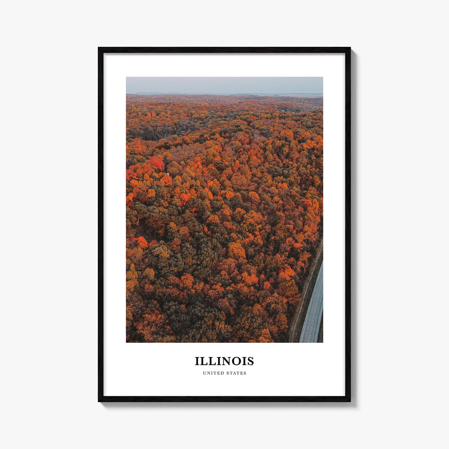 Illinois no. 3 colorful classic poster of United States – vertical wall art, unframed print shown in interior mockup