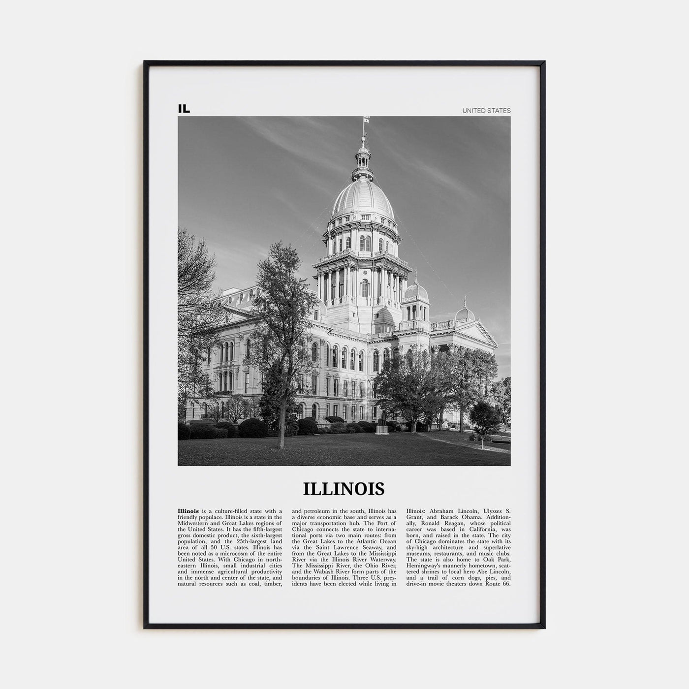 Illinois No 3 Poster None / 8x12 in Nbourhood Travel B&W Poster