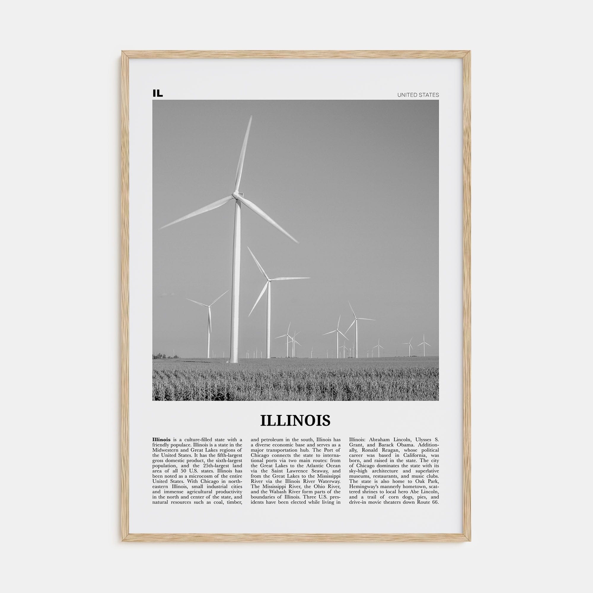 Illinois No 5 Poster Natural Wood / 8x12 in Nbourhood Travel B&W Poster