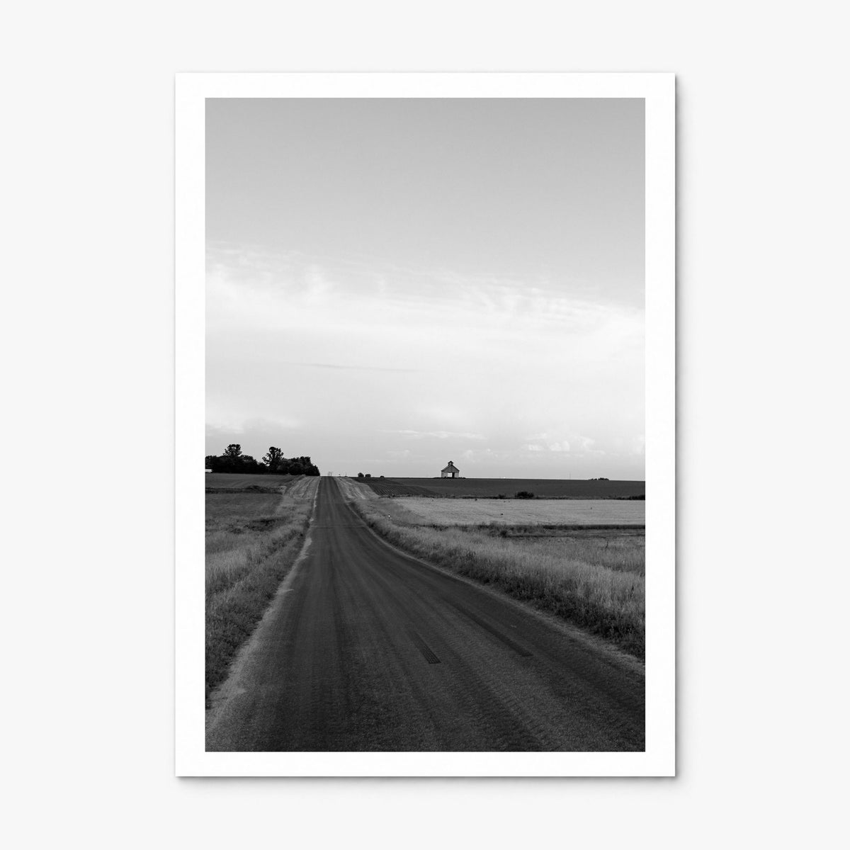 Illinois Photo Poster, print only (unframed), white border