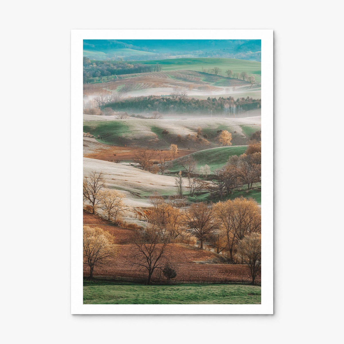 Illinois Photo No 1 Poster, print only (unframed), white border
