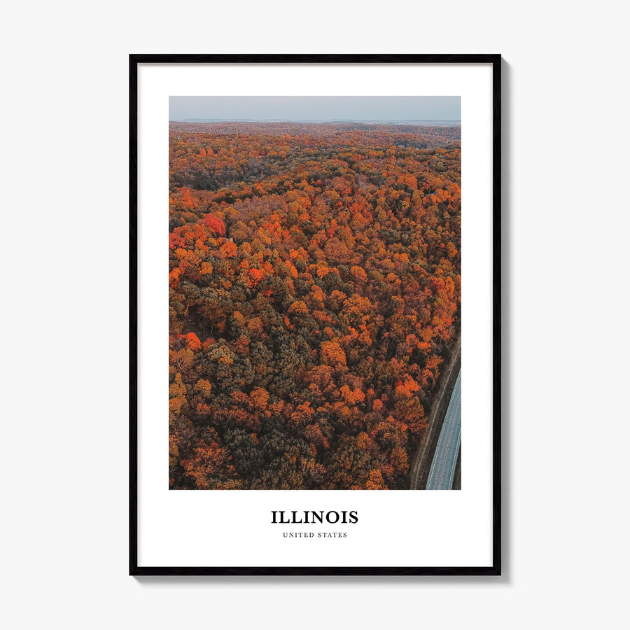 Illinois Classic No 3 Poster, framed poster mockup