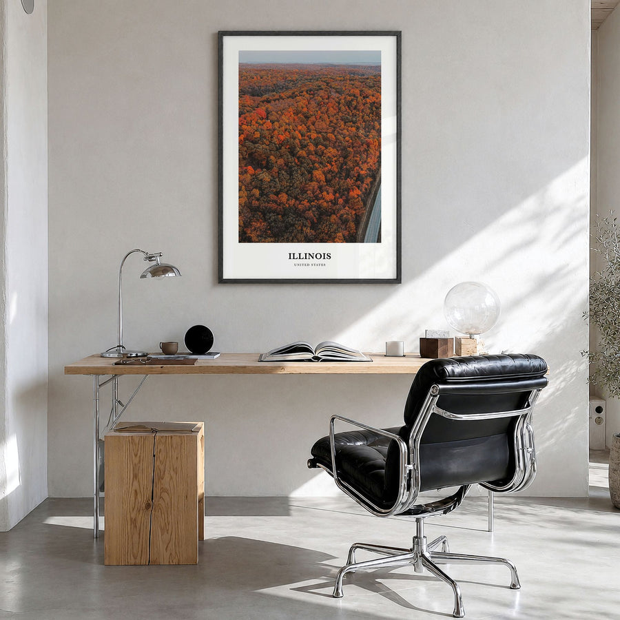 Illinois Classic No 3 Poster in a black wood frame, hanging in a bright home office