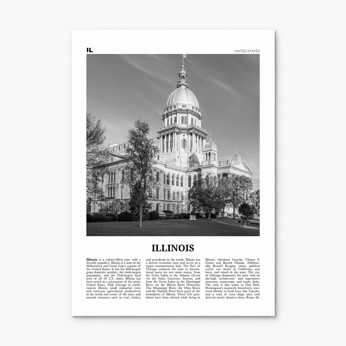 Illinois Newspaper No 3 Poster, print only (unframed)