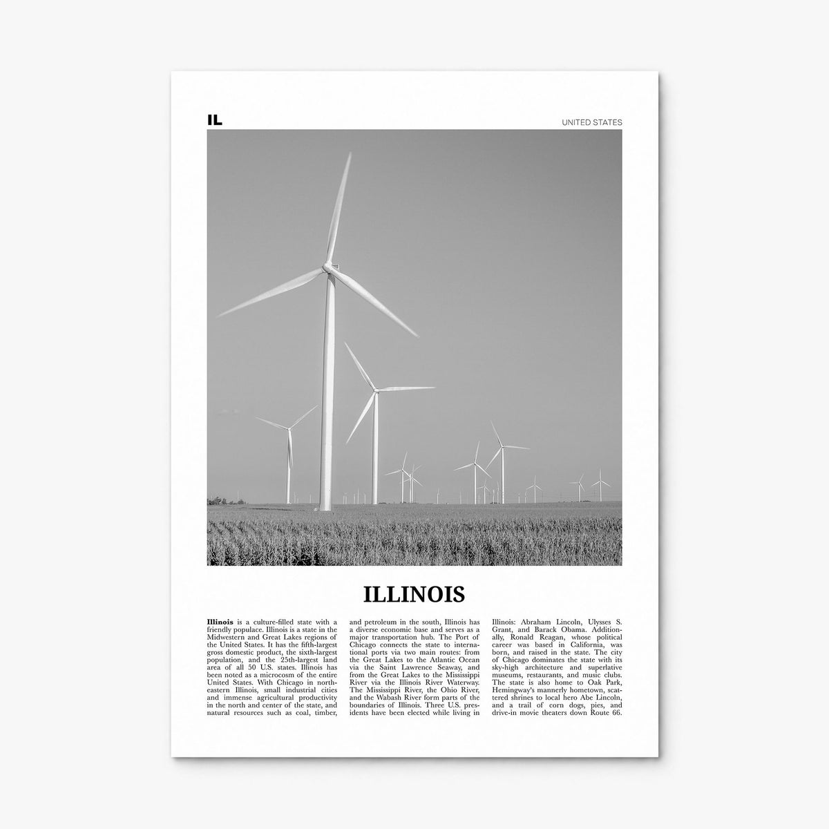 Illinois Newspaper No 5 Poster, print only (unframed)