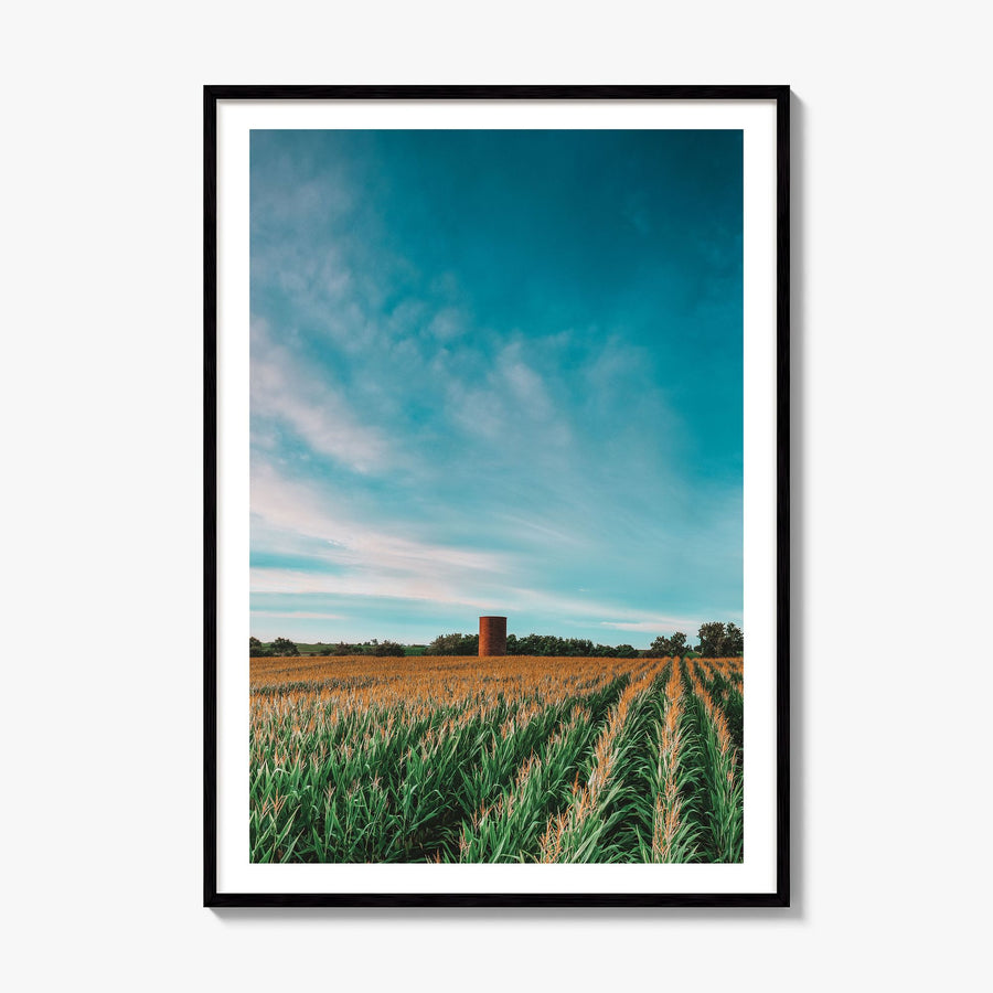 Iowa Photo Poster, framed poster mockup, white border