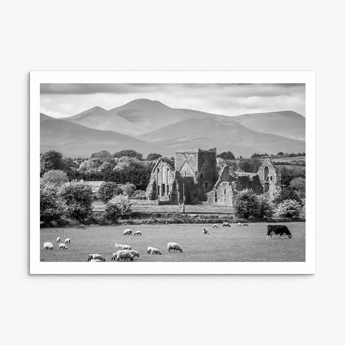Ireland Photo Poster, print only (unframed), white border