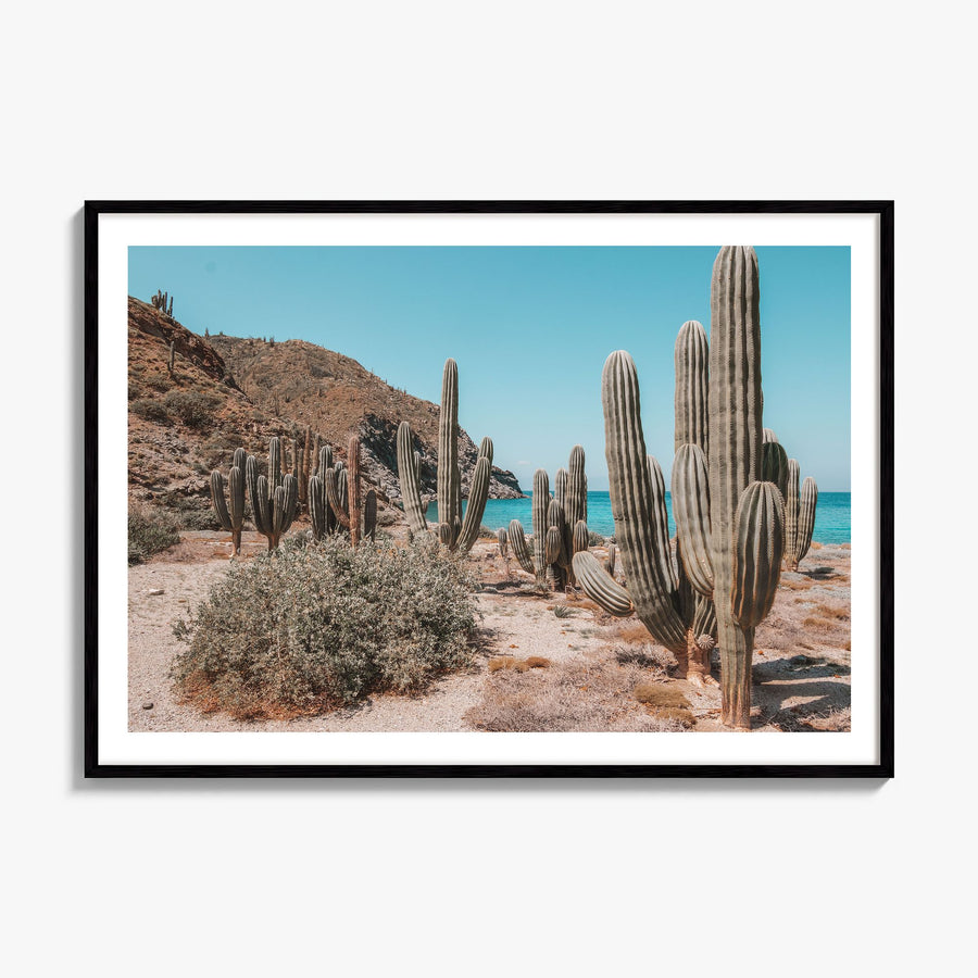 Isla Vista Photo Poster, framed poster mockup, white border
