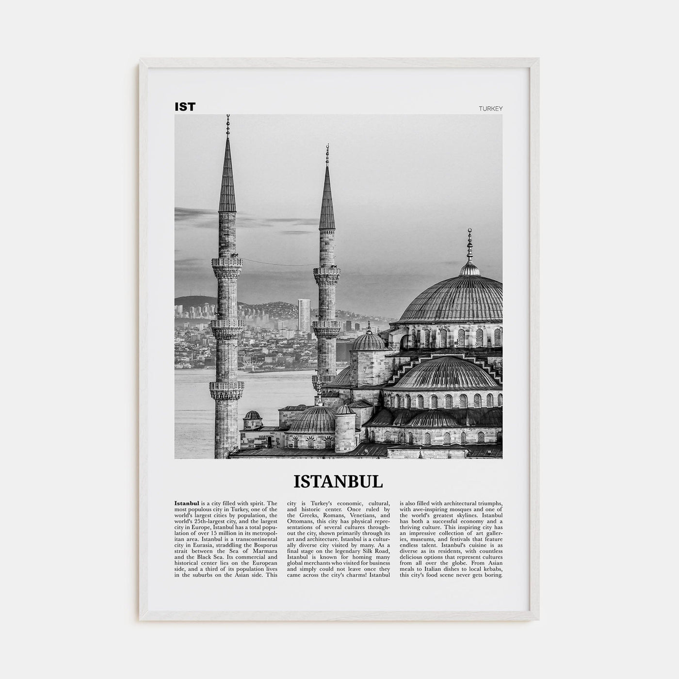 Istanbul No 1 Poster White Wood / 8x12 in Nbourhood Travel B&W Poster