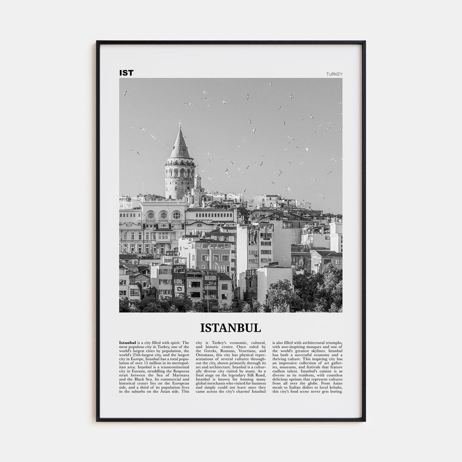 Istanbul No 2 Poster None / 8x12 in Nbourhood Travel B&W Poster