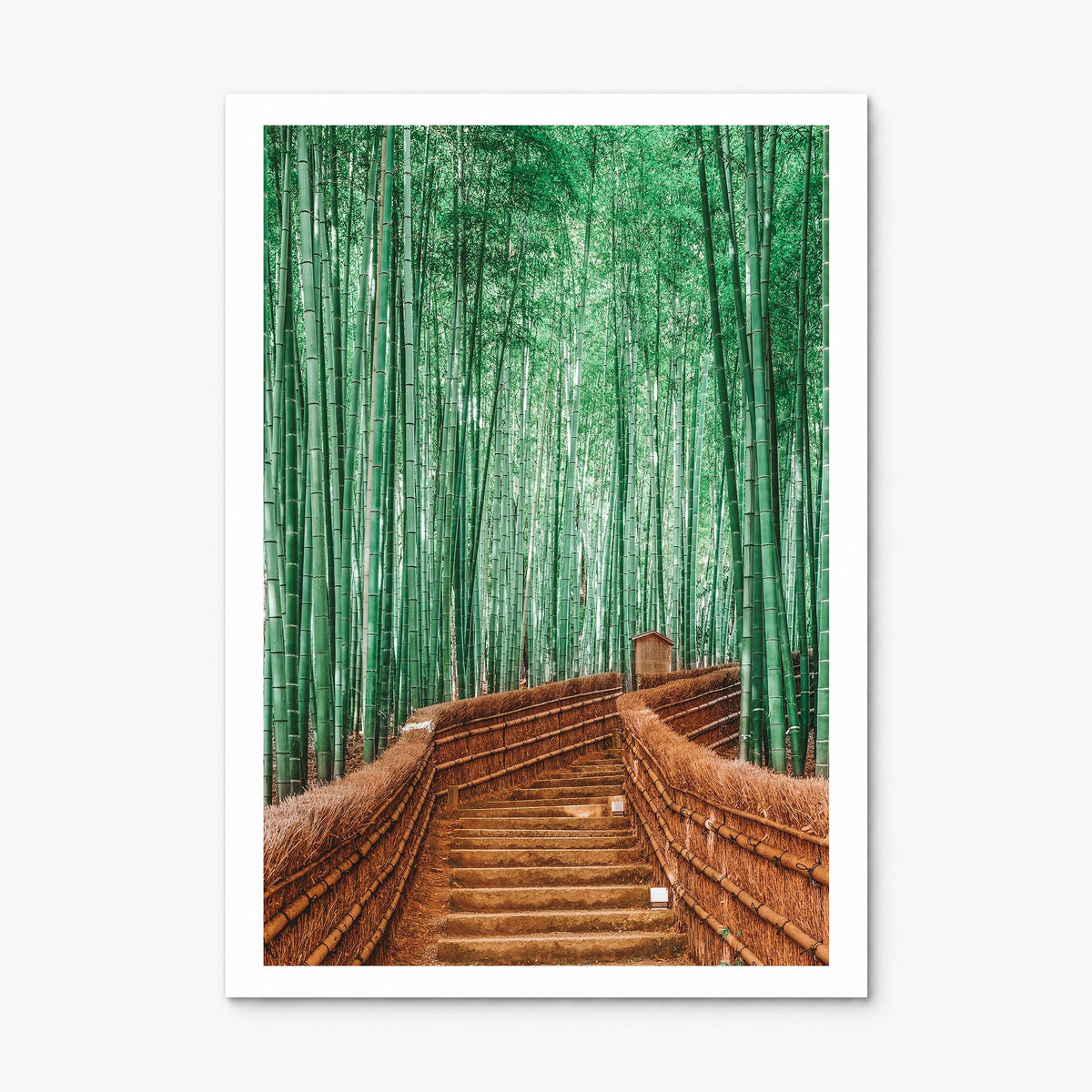 Japan Photo No 3 Poster, print only (unframed), white border