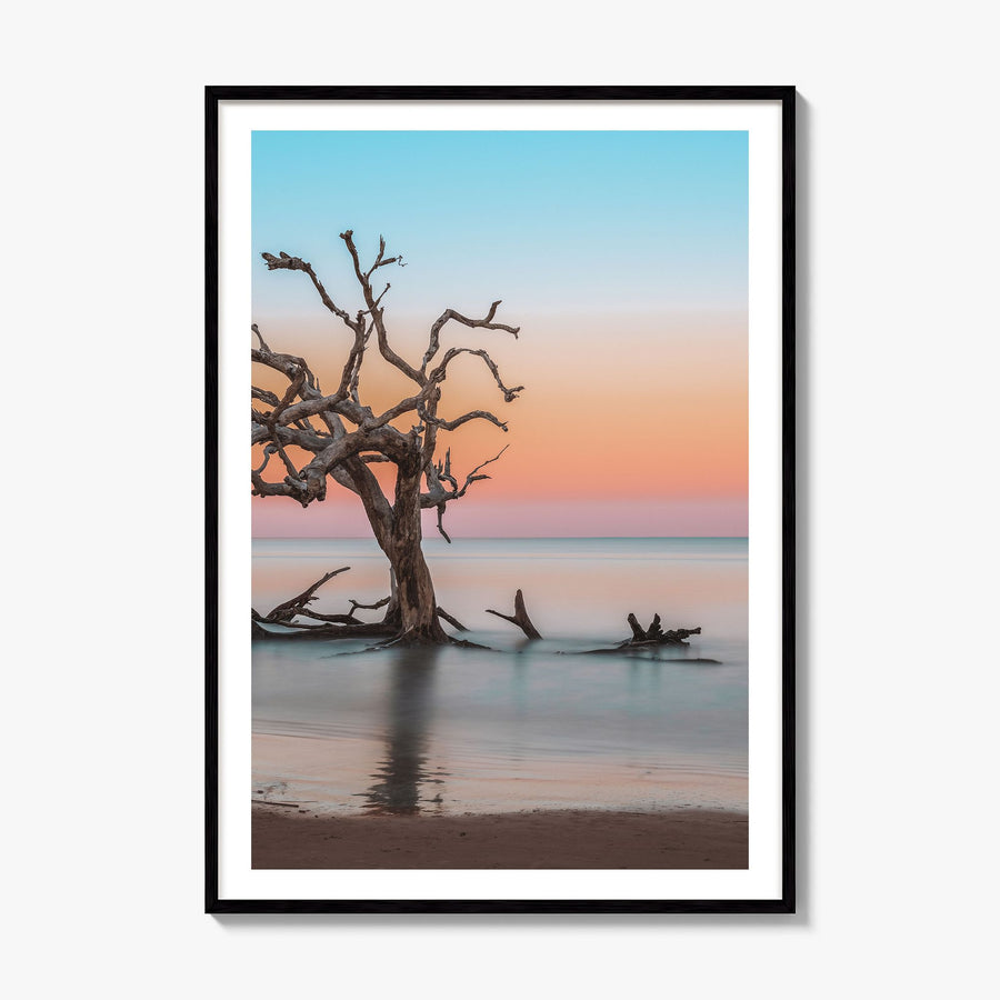Jekyll Island Photo Poster, framed poster mockup, white border
