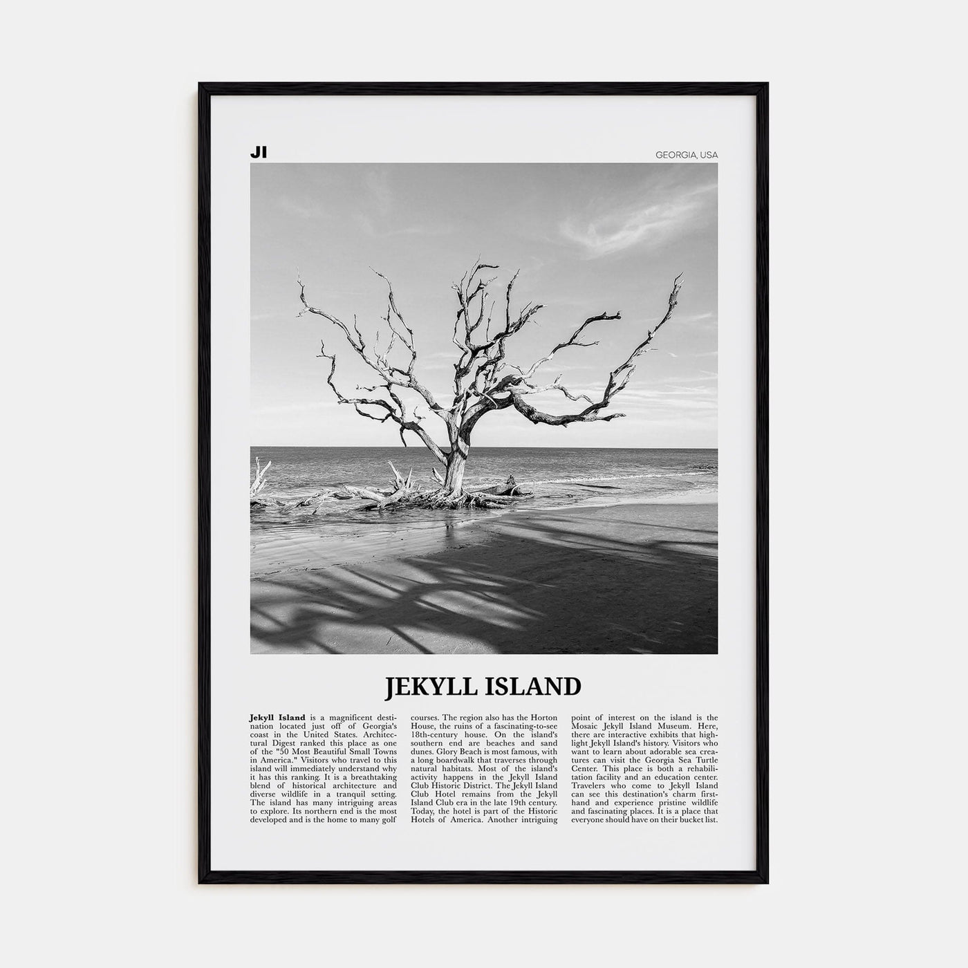 Jekyll Island Poster Black Wood / 8x12 in Nbourhood Travel B&W Poster