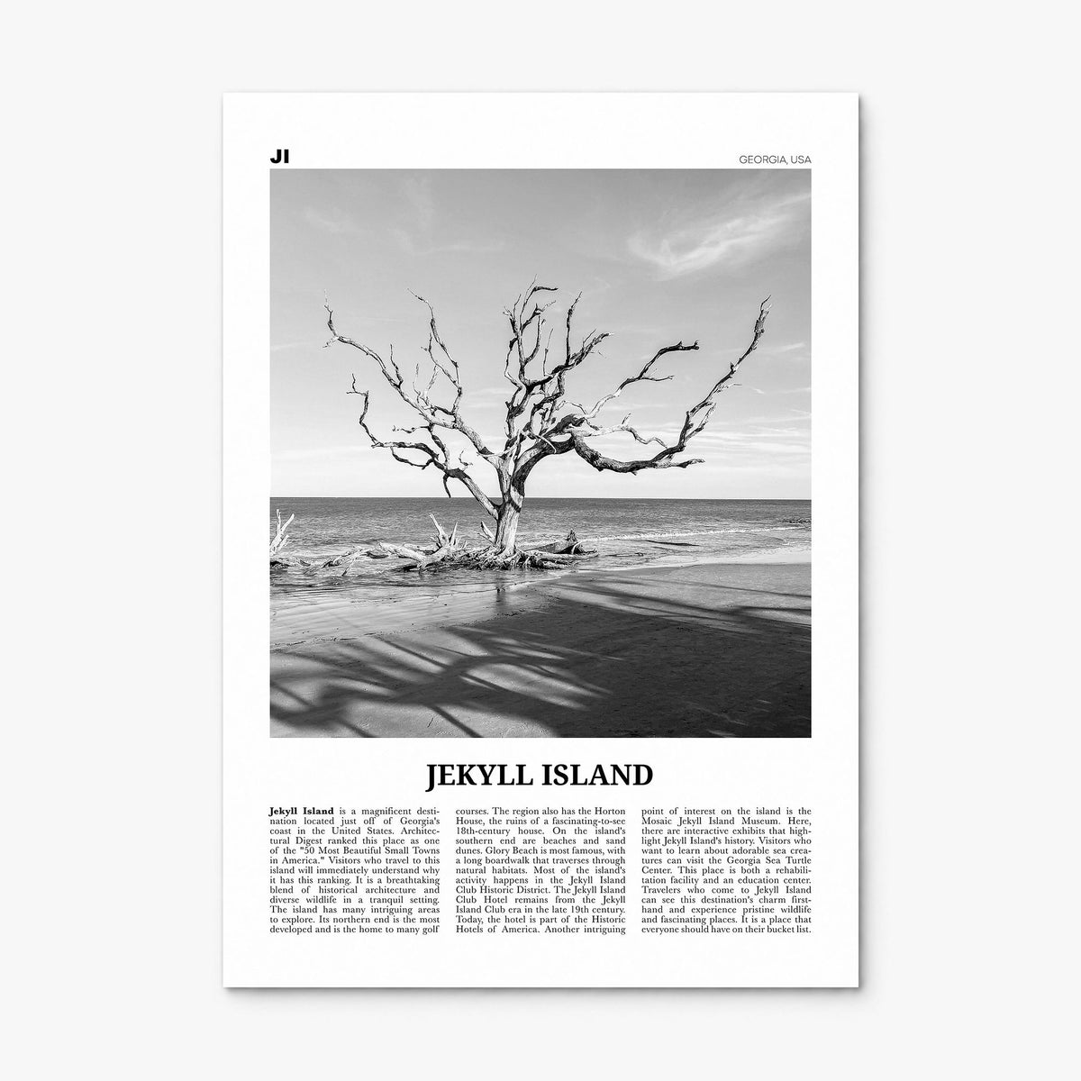 Jekyll Island Newspaper Poster, print only (unframed)