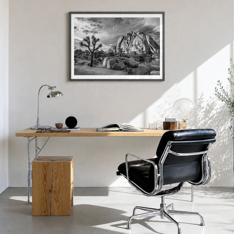 Joshua Tree National Park Photo No 1 Poster in a black wood frame, hanging in a bright home office, white border