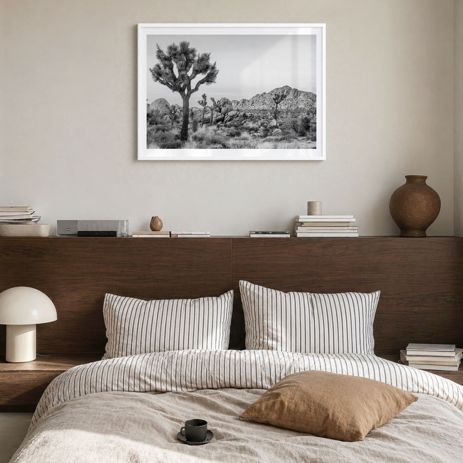 Joshua Tree National Park Photo No 2 Poster in a white wood frame, hanging in a bedroom, white border