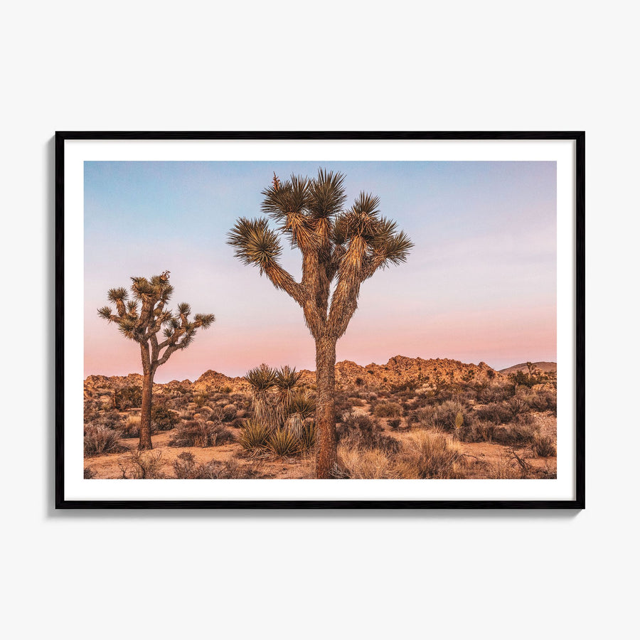 Joshua Tree National Park Photo No 1 Poster, framed poster mockup, white border