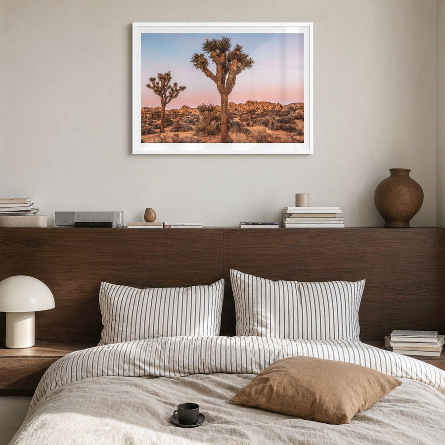 Joshua Tree National Park Photo No 1 Poster in a white wood frame, hanging in a bedroom, white border