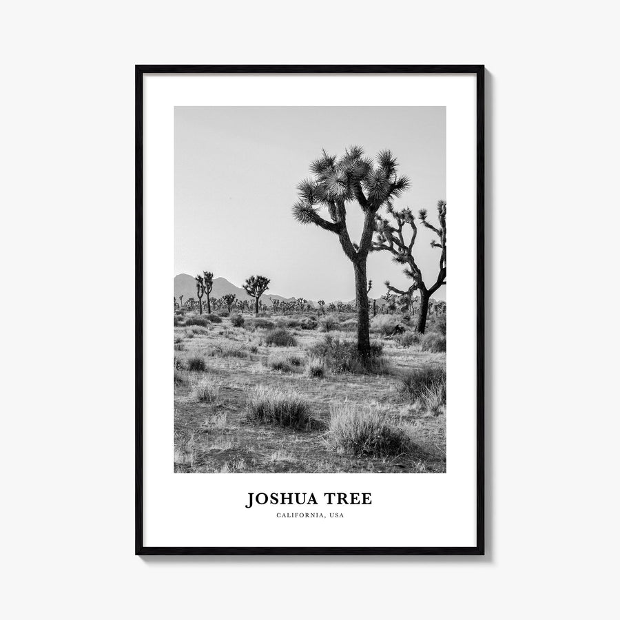 Joshua Tree National Park no. 1 black & white classic poster of California, USA – vertical wall art, unframed print shown in 