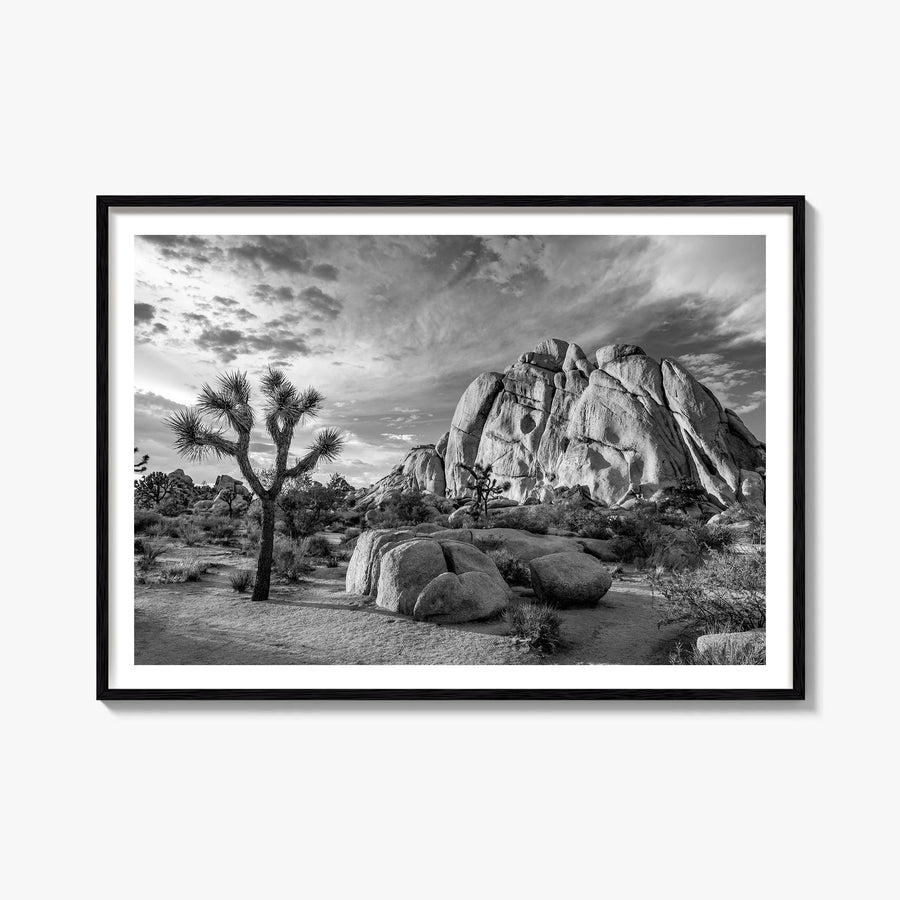 Joshua Tree National Park no. 1 black & white photo poster of California, USA – horizontal wall art, unframed print shown in 
