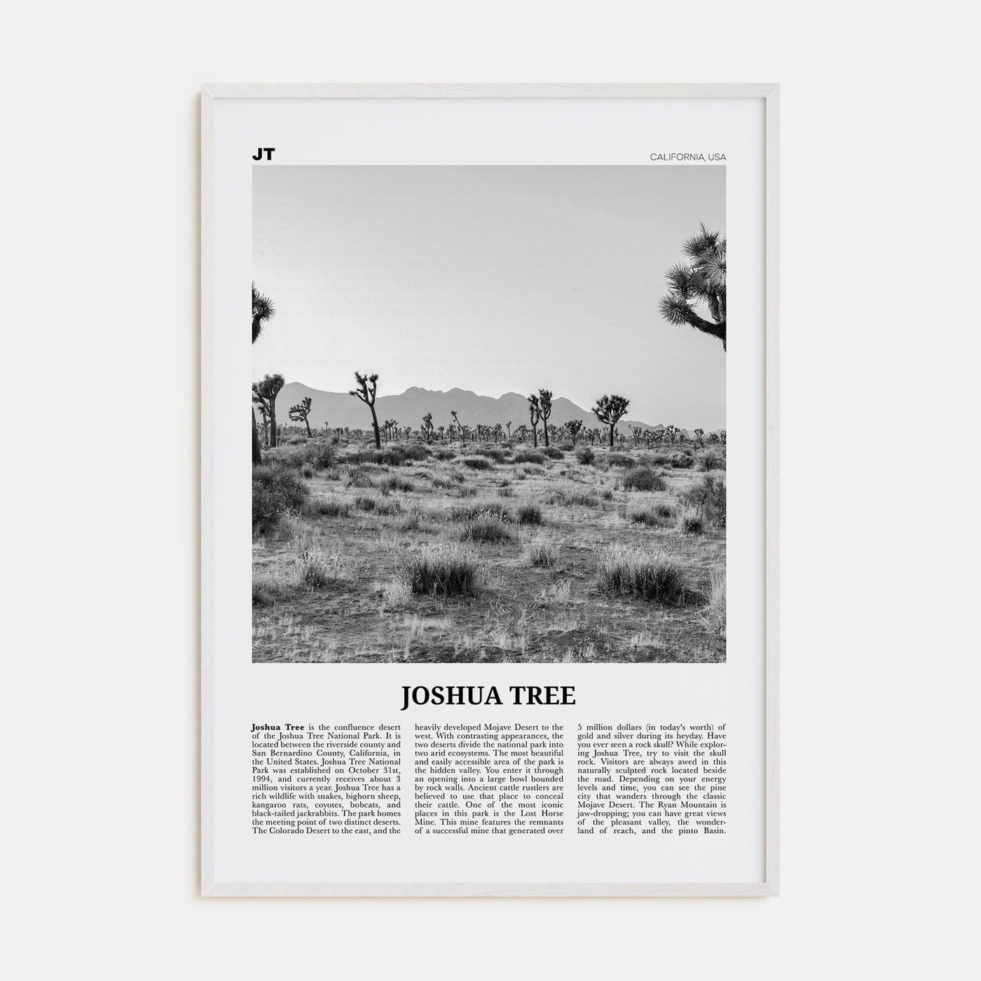 Joshua Tree National Park No 1 Poster White Wood / 8x12 in Nbourhood Travel B&W Poster