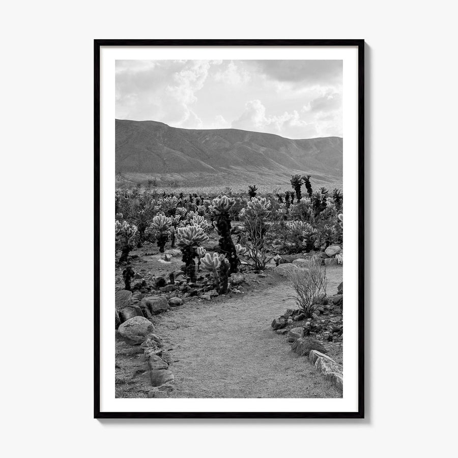 Joshua Tree National Park Photo No 1 Poster, framed poster mockup, white border