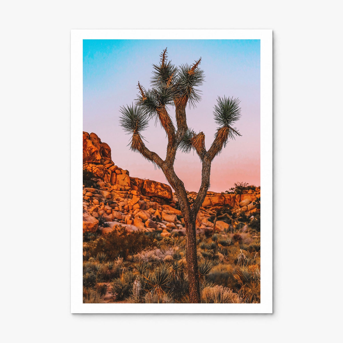 Joshua Tree National Park Photo No 1 Poster, print only (unframed), white border