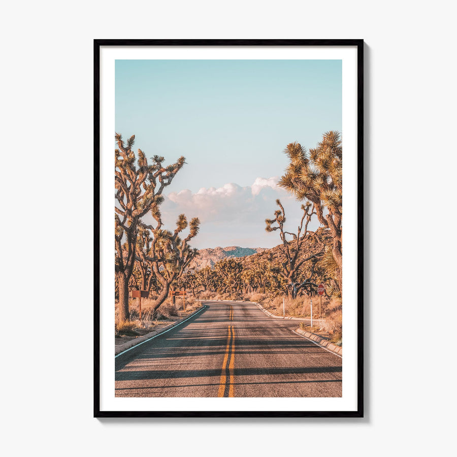 Joshua Tree National Park Photo No 2 Poster, framed poster mockup, white border