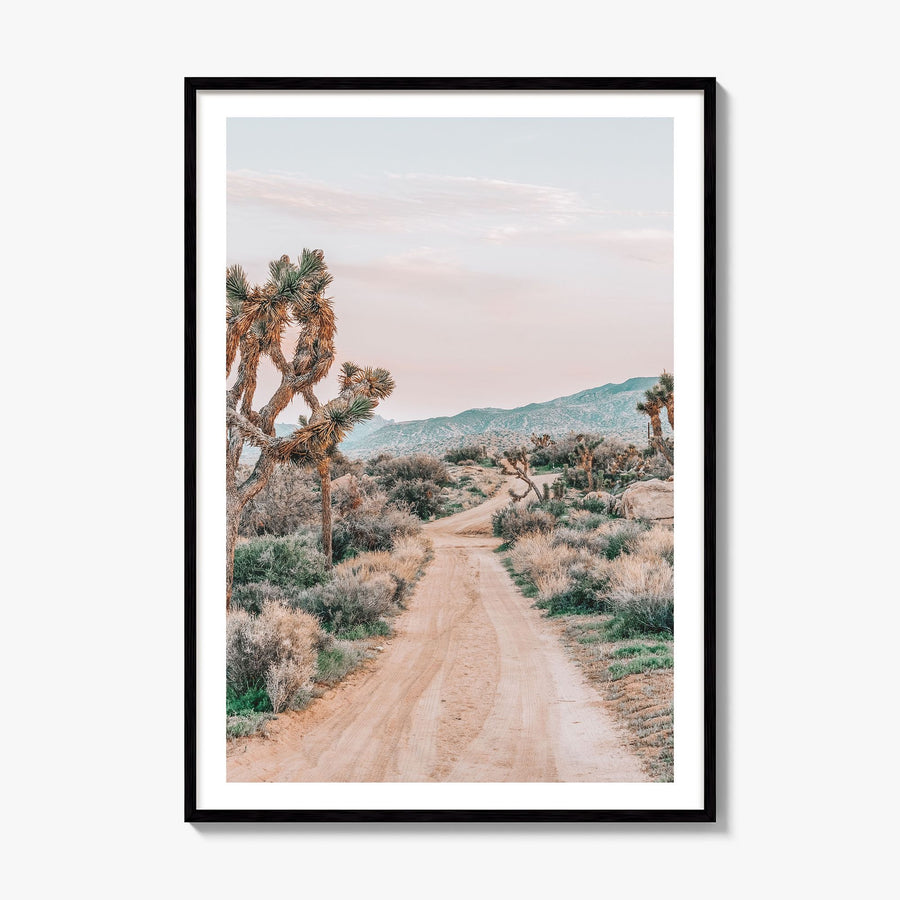 Joshua Tree National Park Photo No 3 Poster, framed poster mockup, white border