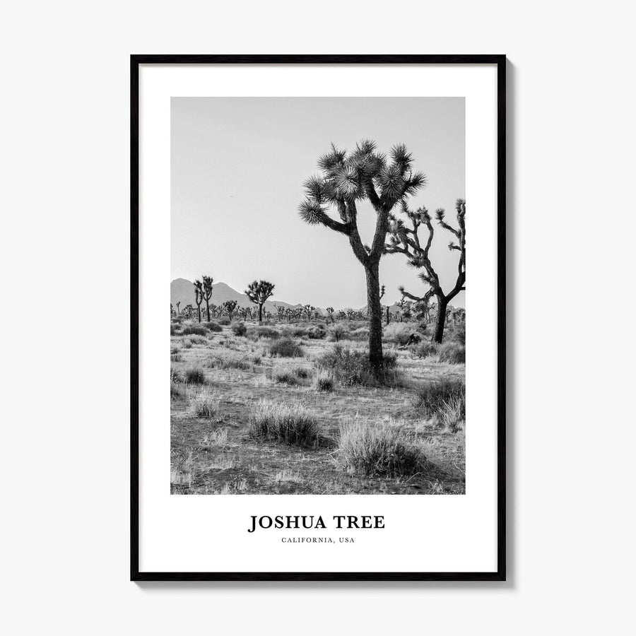 Joshua Tree National Park Classic No 1 Poster, framed poster mockup