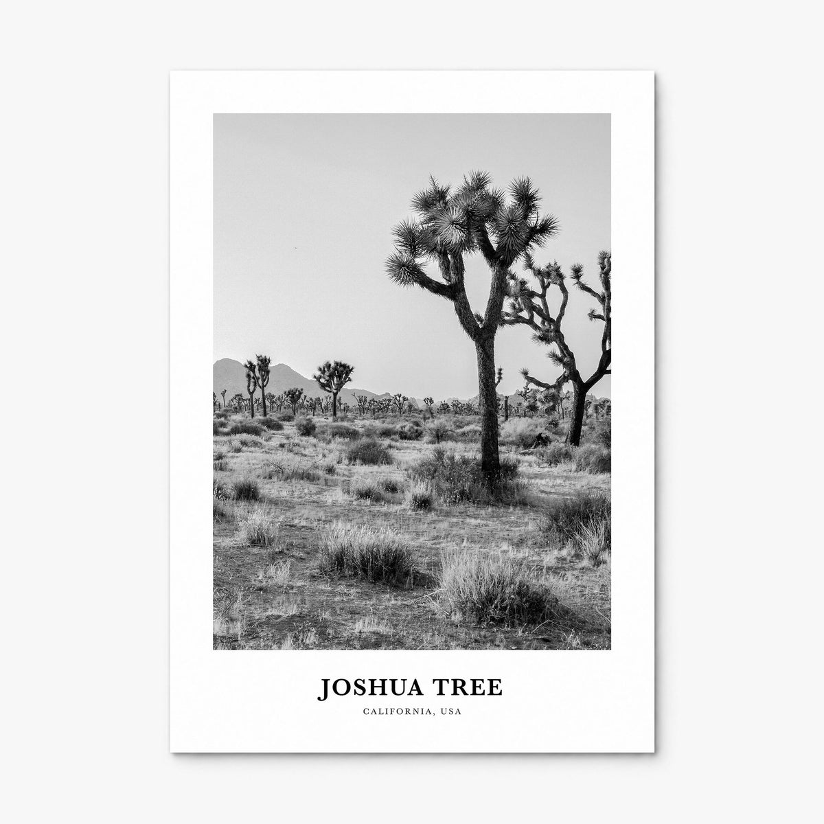 Joshua Tree National Park Classic No 1 Poster, print only (unframed)