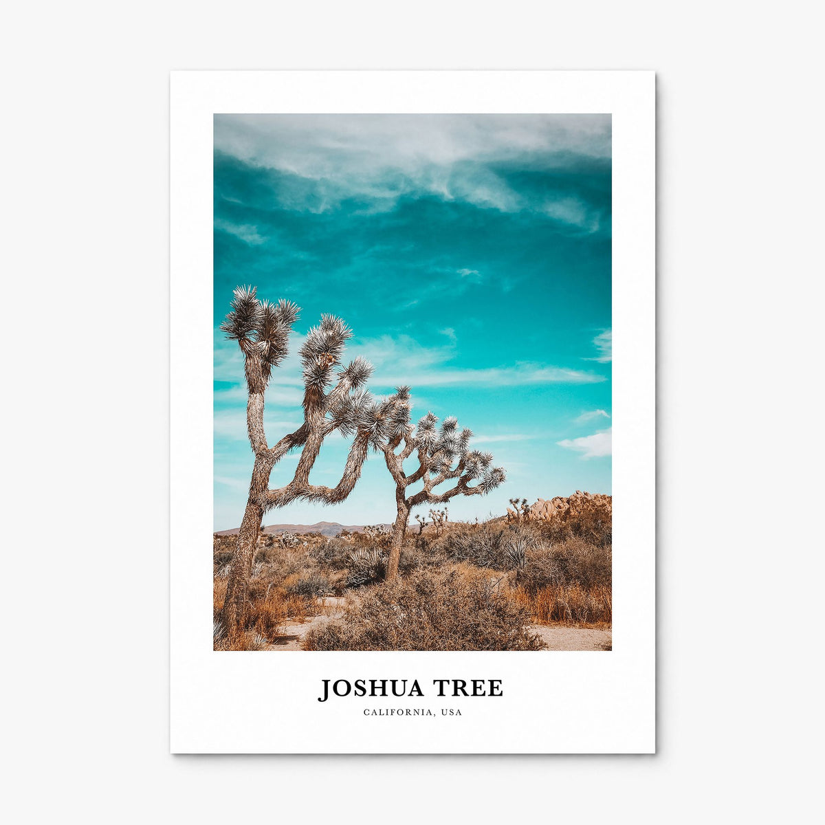 Joshua Tree National Park Classic Poster, print only (unframed)