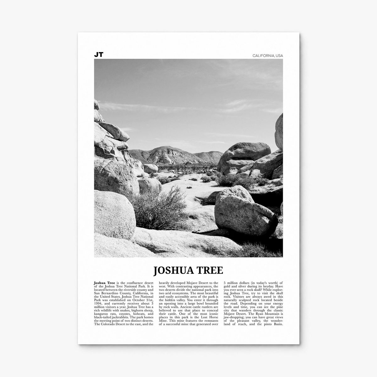 Joshua Tree National Park Newspaper No 2 Poster, print only (unframed)