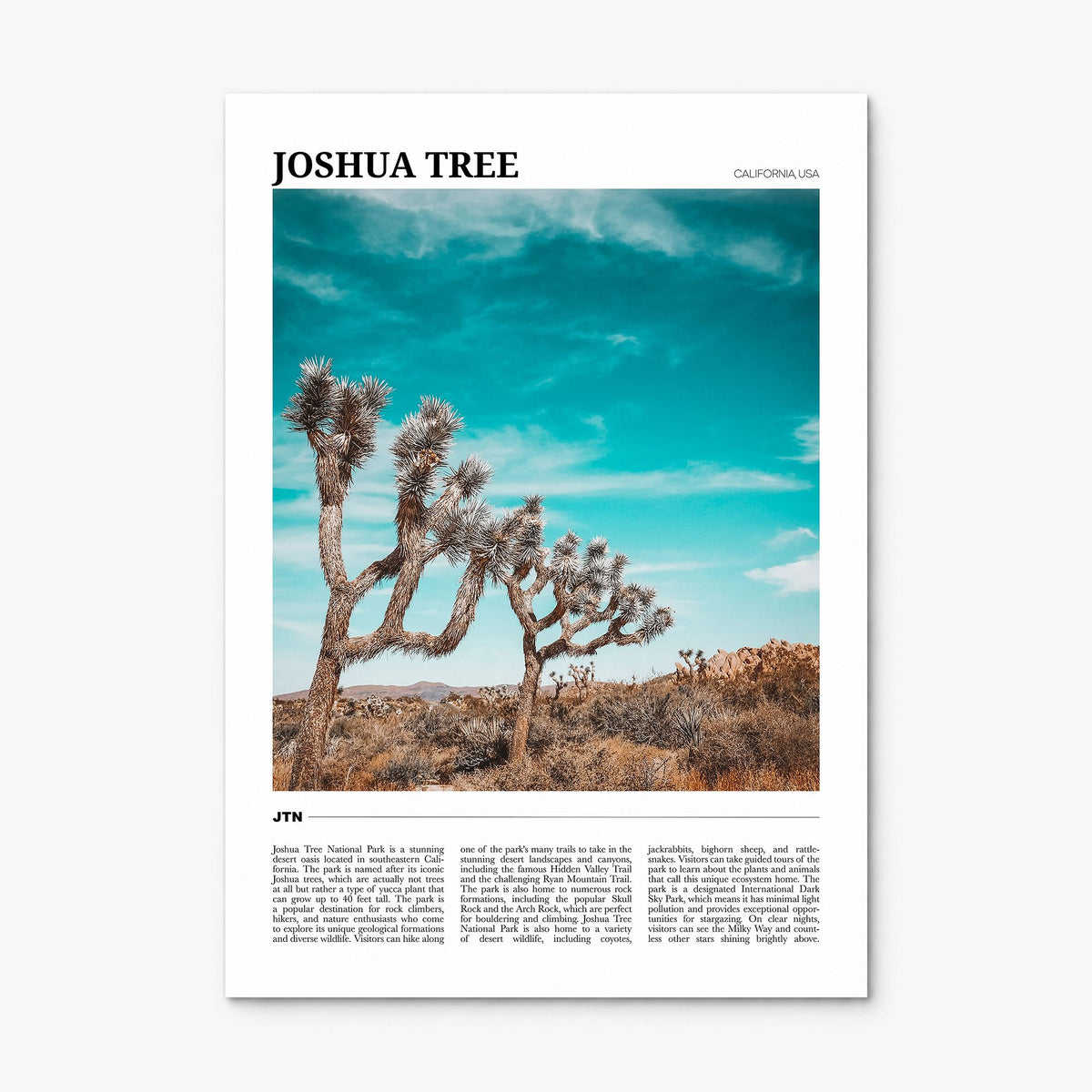 Joshua Tree National Park Travel Poster, print only (unframed)