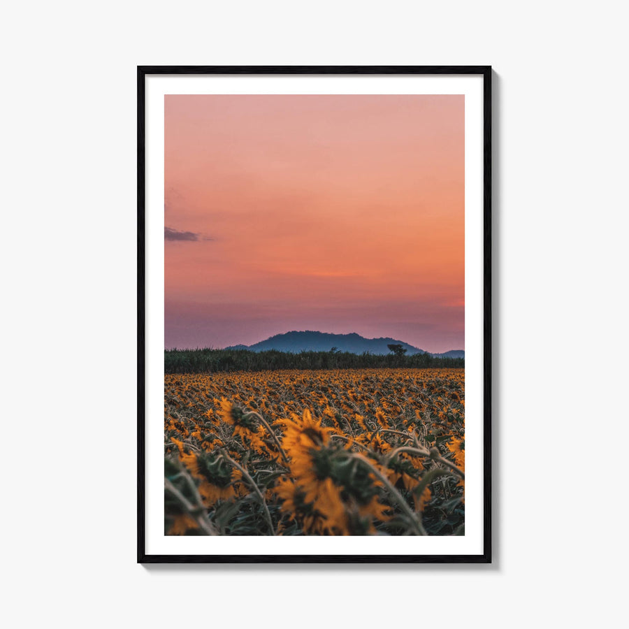 Kansas no. 1 colorful photo poster of United States – vertical wall art, unframed print shown in interior mockup