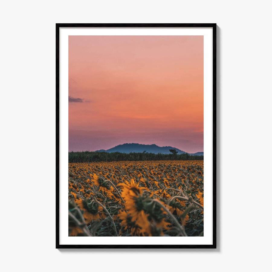Kansas Photo No 1 Poster, framed poster mockup, white border