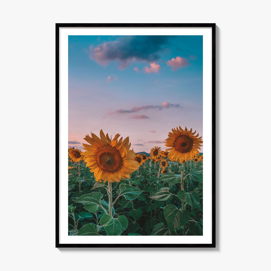 Kansas Photo No 2 Poster, framed poster mockup, white border