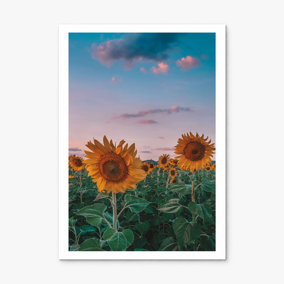 Kansas Photo No 2 Poster, print only (unframed), white border