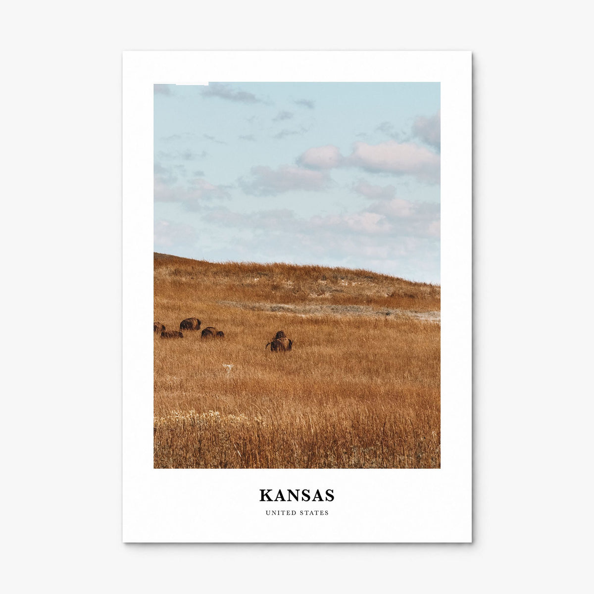 Kansas Classic Poster, print only (unframed)