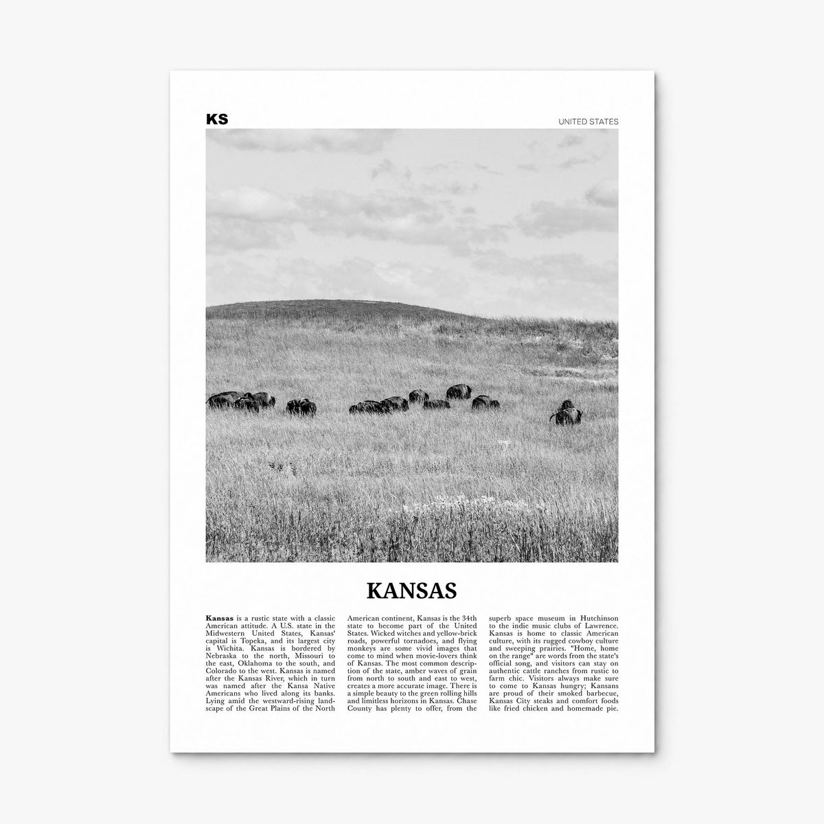 Kansas Newspaper No 2 Poster, print only (unframed)