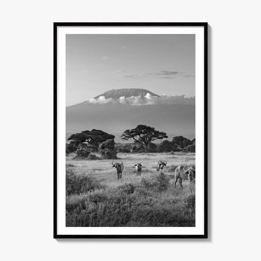 Kenya Photo Poster, framed poster mockup, white border